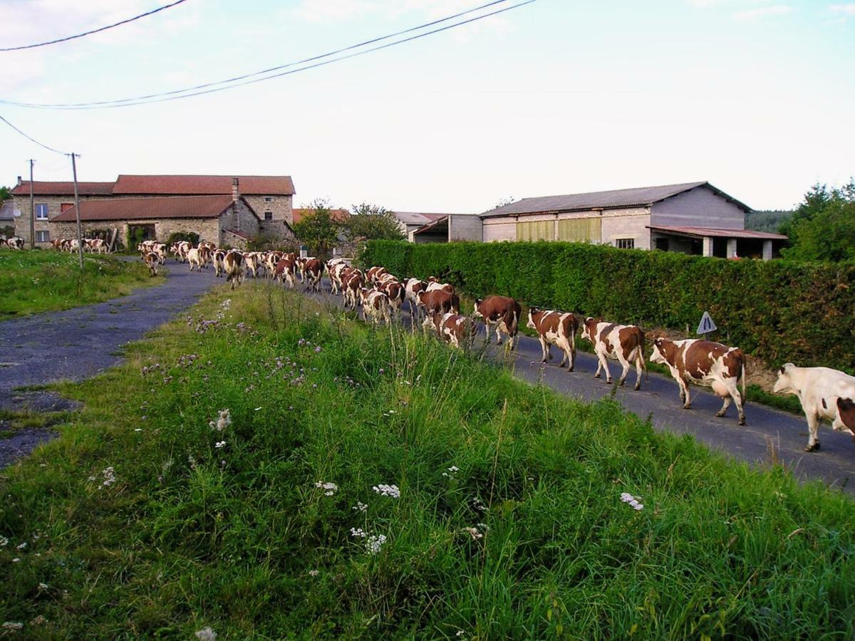 Le Bos Clard Villa Felines Luaran gambar